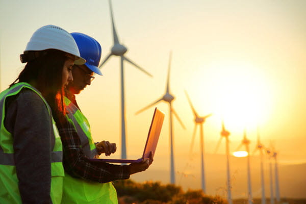 Two professionals in safety gear in a field of wind turbines.