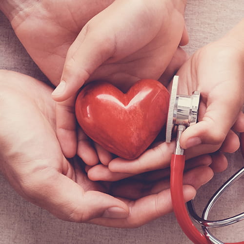 People holding a heart and stethoscope