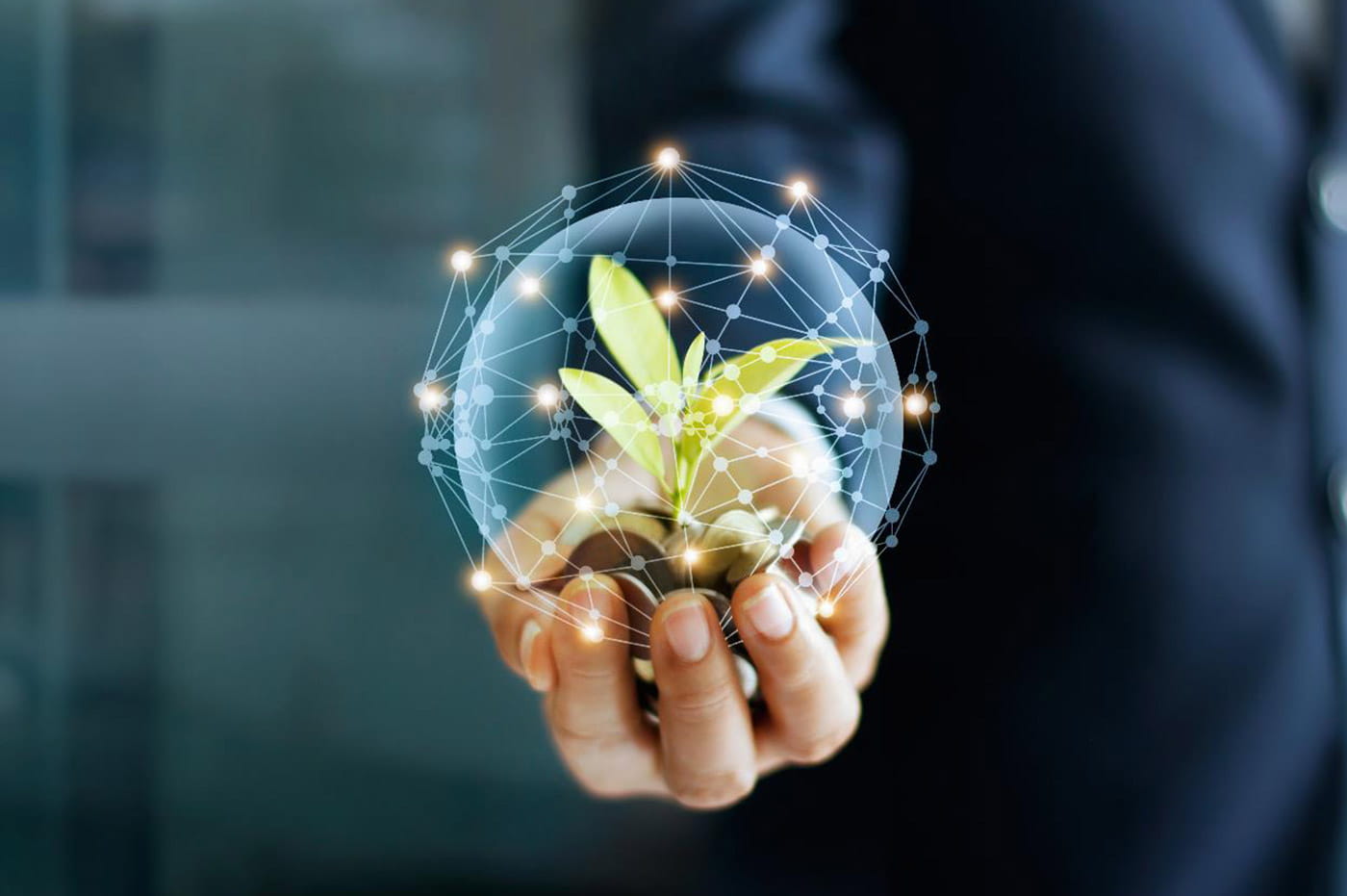 A person holding a plant in their hand with a digital globe around it. 